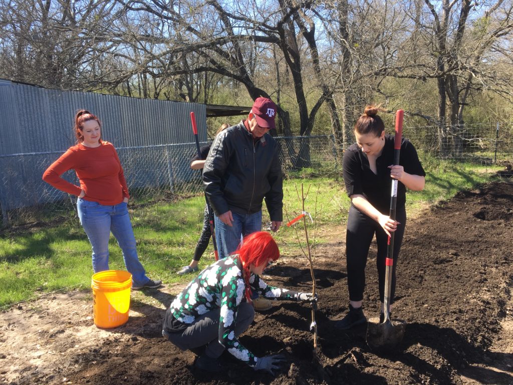 Orchard Research Trial Planting - Urban Programs - Dallas